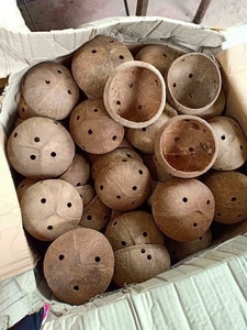 Casa para Pájaros Hecha a Mano con Cáscara de Coco – Nido Ecológico y Natural para Decoración de Jardín - Product Image 1