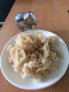 Púrpura-Golden Seamoss/Mejor precio Musgo de mar irlandés/Eucheuma Cottonii Seaweed/Ms. Laura - Product Image 5