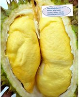 Verse Durian Gouden Kussen Durian / (Ms) Kio Huynh