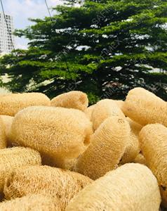 RAW MATERIAL LOOFAH <b>SPONGES</b> CHEAP PRICE FROM VIETNAM/ORGANIC LOOFAH WITH COMPETITIVE PRICE for SKIN <b>EXFOLIATING</b> - Product Image 6