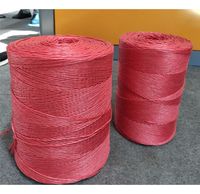 Corde en polypropylène (PP) noir et jaune de 2,5 mm pour l'agriculture, corde en raphia, ficelle pour presse à balles de foin, corde torsadée pour emballage de pailles de banane, anti-UV