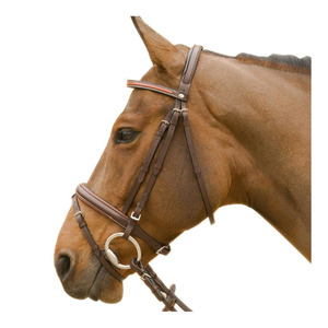 Bridon et Licol en Cuir Personnalisés pour Cheval, Conception Anatomique, Accessoires en Laiton Massif, Confortables, Durables, Logo Personnalisé pour la Vente en Gros de Chevaux - Product Image 5