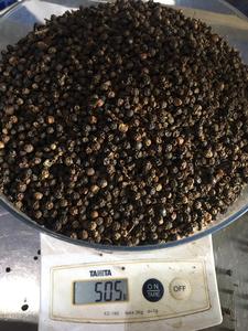 Pimienta negra seca al mejor precio, fábrica de Vietnam 580/570/550/500 GL AD, proceso de procesamiento crudo, Pimienta Phalco certificada HACCP/ISO - Product Image 5