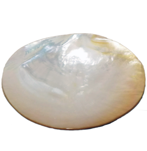 Carcasa con níquel incrustada, caja de joyería negra de lujo, hecha de perla madre - Product Image 5