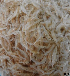 CREVETTES SÉCHÉES DE QUALITÉ SUPÉRIEURE POUR LES ACHETEURS EN GROS - Product Image 4