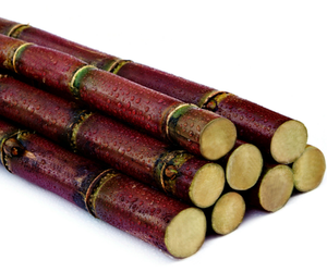 highly flavorful and palatable sugar canes - alibaba.com