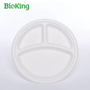 BioKing 9inch Biodegradable Compostable Disposable Plate 3 Compartment Square Bagasse Lunch Dinner Party Free Custom Restaurants