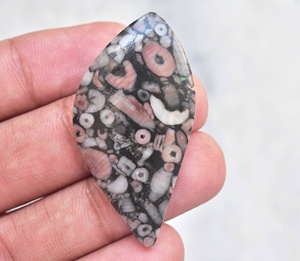 Piedra preciosa natural de coral fósil de crinoide, piedra preciosa semipreciosa de Cindrol, piedra preciosa suelta fósil para joyería - Product Image 6