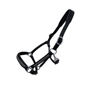 Cheval Halter Noir Marron et Tan Couleur Cuir Disponible avec toutes les tailles - Product Image 6