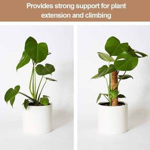 ขุยมะพร้าวMoss Pole StickสนับสนุนโรงงานSticks - Product Image 5