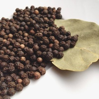 Zwarte peper 1000kg Gedroogd ISO gecertificeerd Premium Kwaliteit Vietnamese Fabrikant AGRIKIM Lage Prijs 1 Ton MOQ +84 368591192