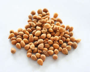 Huile de support de graines de cerise pressée à froid sous forme liquide pour éclaircir la peau - Product Image 4