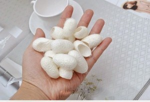 Capullo de Seda Orgánico Biodegradable con Colágeno para el Cuidado Facial - Ecológico, Corte 1/3 - Product Image 3