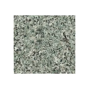 Natürlicher Granit Nosara Green Stone Lieferant Groß bestellung