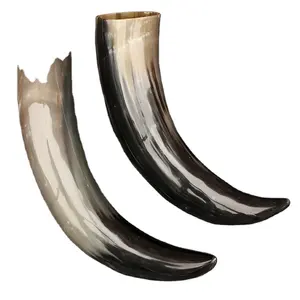 Indian Odin Natural polished finished viking drinking horn