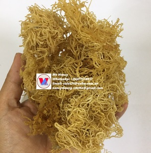 Algues marines de haute qualité, algues irlandaises, Eucheuma Cottonii, en vrac, à prix compétitif - Product Image 3