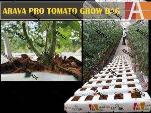 Sacs de culture spéciaux mexicains de haute qualité pour tomates Forme de bloc de tourbe de noix de coco Meilleur prix - Product Image 3