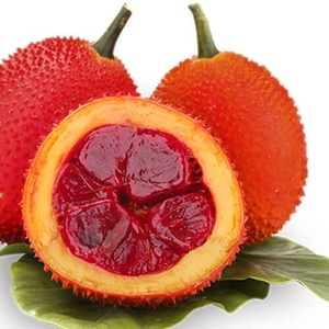 100% fabriqué à partir d'huile de gac naturelle pour l'huile de gac fraîche Extrait de plantes pures Huile de gac Bonne application de suppléments alimentaires pour la santé - Product Image 5