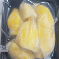 Diepvries Durian Fruit IQF Vriesproces Vacuümverpakking 2 Jaar Houdbaarheid Nieuwe Competitieve Prijs Uit Vietnam
