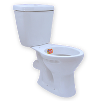 Siphonic Dual Flush S Trap Toilette deux pièces Wc Water Closet Toilette avec housse de siège à fermeture douce