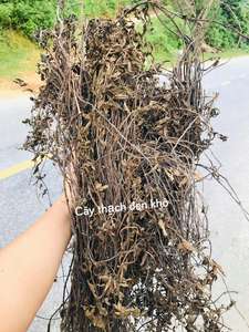 100% FEUILLES DE GELÉE D'HERBE SÉCHÉES NATURELLES-AMBRE - Product Image 6