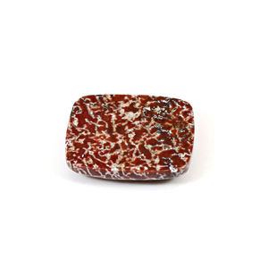 กระดูกไดโนเสาร์ธรรมชาติ25X20มม. เบาะสี่เหลี่ยมผืนผ้า Cabochon 26.95 Cts อัญมณีหลวม - Product Image 2