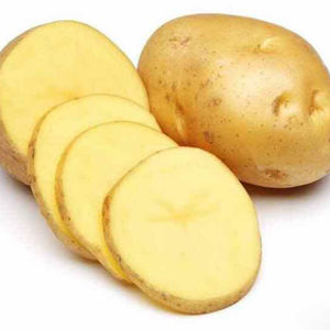 Harina de patata/Almidón de patata nativo - Product Image 3