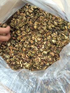 Calamansi-polvo 100% puro, alta calidad, el mejor precio - Product Image 5