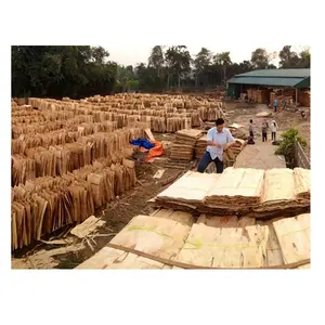 Highest quality Eucalyptus/Acacia core veneers for Plywood with good price