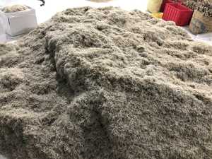 ANCHOVY-anchoa seca para bebé, anchoa seca de 2-3CM de alta calidad de Vietnam, W/S: 0084, 989, 322, 607 - Product Image 3