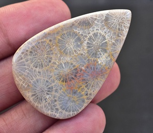 ฟอสซิลอัญมณีปะการัง Cabochon ขายส่งฟอสซิลหินอัญมณีหลวมสำหรับเครื่องประดับ - Product Image 4