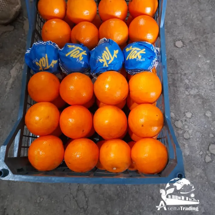 Best Selling Fresh Citrus Fruit Oranges OEM Sweet Juicy 10 kg baskets newest crop