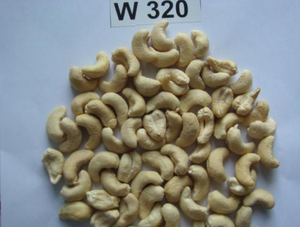 Nueces de Anacardo Vietnamitas de Primera Calidad, W240 W320, Color Blanco Natural, para el Mercado Global, Gran Venta - Product Image 4