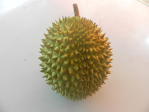 100% puro Intera Congelati <span class=keywords><strong>Durian</strong></span> <span class=keywords><strong>Prezzo</strong></span> Competitivo - Product Image 6