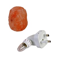 Lampe de Sel de Pierre Naturelle de l'Himalaya Sculptée en Coquillage Marin, Veilleuse Murale Mini à Brancher, Écologique, Purifie l'Air, ISO