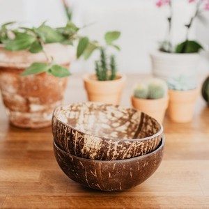 Bols à dîner en coquille de noix de coco naturelle, produits faits à la main, bon prix en gros, fabriqués de marque vietnamien - Product Image 2