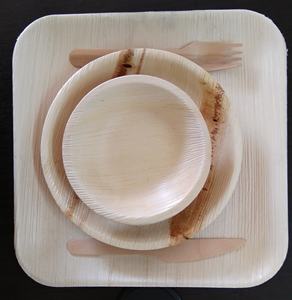 Platos y platos de hoja de palma Areca ecológicos de alta calidad, cuencos blancos, platos, patrón de planta, producto ecológico de alta calidad - Product Image 2