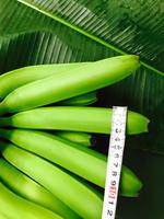 Beste Prijs Fabricage Verse Cavendish Banaan-Vietnam Vers Groen Cavendish Fruit In 13,5Kg Karton Custom Logo