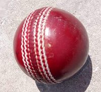 Ballon de cricket en cuir personnalisé pour entraînement et match, service OEM, couleur et logo personnalisés, taille standard adulte