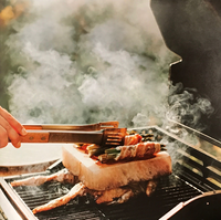 Plaques de cuisson en sel rose de l'Himalaya, artisanat naturel exquis, sculptées, plateau en acier inoxydable robuste, pour cuisine et barbecue, 98,9% Halal