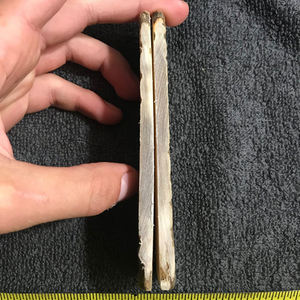 Escamas de Cuerno de Búfalo de Alta Calidad del Mercado Indio, Varios Tamaños, Tonos Naturales Aleatorios, Pulidos, para Marcos Ópticos y Artesanías - Product Image 4