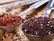 VietDelta Coffee Husk Séché Raw Style Produit Polyvalent pour Engrais Boisson et Carburant Directement du Vietnam - Product Image 2