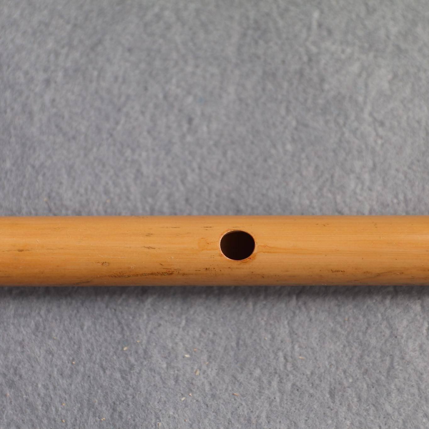 ธรรมชาติ