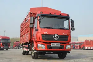 SHACMAN F3000 4*2 Cargo Truck SX11888K571