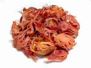 Huile essentielle de macis biologique 100% pure et naturelle à bas prix de AROMAAZ INTERNATIONAL - Product Image 4