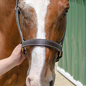 Calidad Superior marrón cuero genuino caballo Halter suave acolchado nariz banda diseño anatómico comodidad óptima duradero frotar - Product Image 3