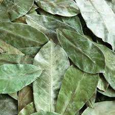 HOJAS DE URENSA SECAS AL MEJOR PRECIO/HOJAS DE GRAVIOLA CON BUENA CALIDAD (Shyn Tran) - Product Image 3