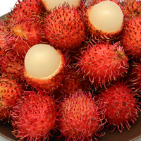 Type 1 Verse Rambutan uit Vietnam - Mevr. KiO HYUNH + 84 34 375 8904