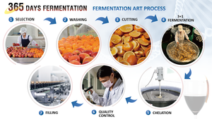 Suplemento inmune polisacárido vitamina C Reishi extracto oemodm - Product Image 6