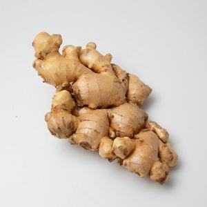 Gingembre frais séché de haute qualité prix du marché par tonne acheteurs en gros de gingembre pour l'exportation Gingembre - Product Image 4